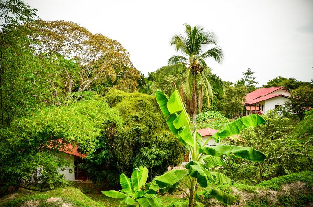 Istmo Beach And Jungle Bungalows San Carlos Eksteriør bilde